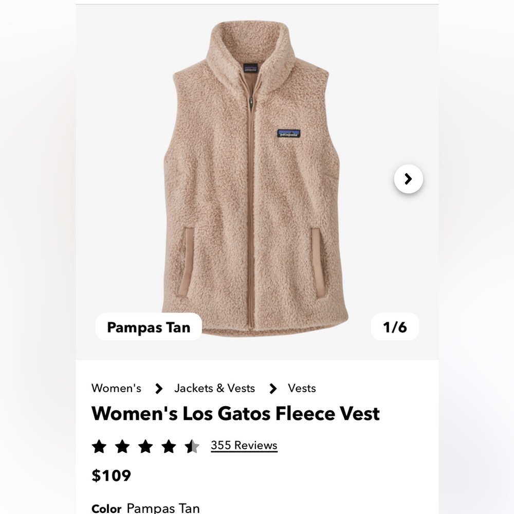 Patagonia Los Gatos Vest